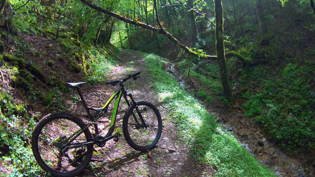 Circuit VTTAE n°1 (noir) - Montfort / Mont-Myon