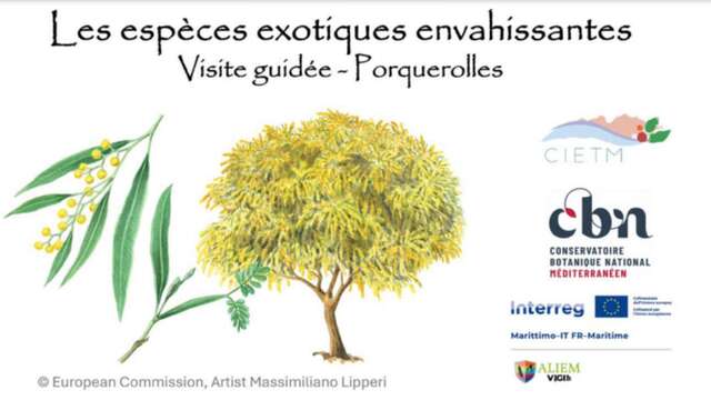 Balade nature sur l’île de Porquerolles - Les trésors du Var en péril