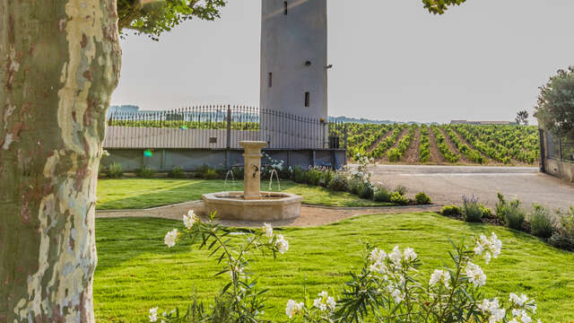 Domaine Tour Saint Michel