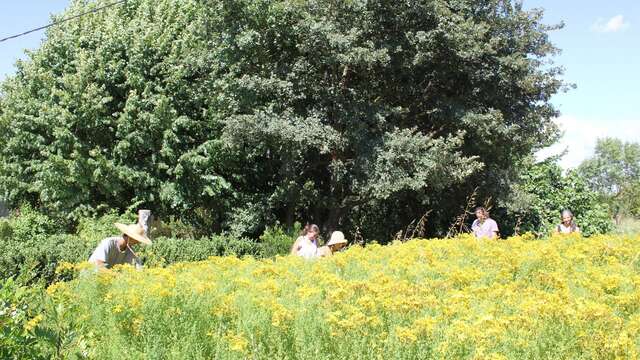 Botanical visit at Les Sentiers de l'Abondance