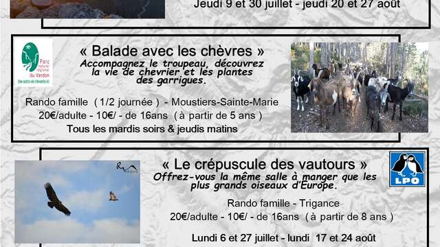 Sorties accompagnées "Coucher de soleil sur les Gorges"