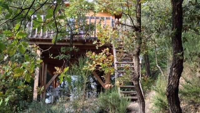 En amoureux dans ma cabane perchée