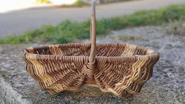 Atelier Vannerie: Panier sur arceaux croisés