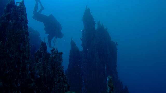 Mobula Diving: Dive Center - Diving School.