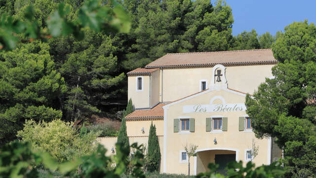 Verticale du Béates Blanc sur 15 ans au domaine des Béates