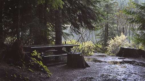 Aire de pique-nique/Maison de la Réserve