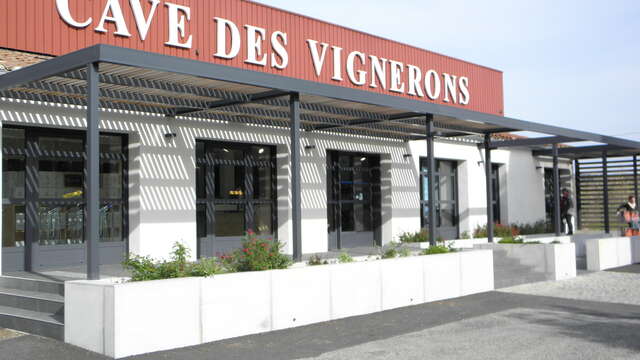 Visite de la cave - Les Vignerons de Roaix Séguret