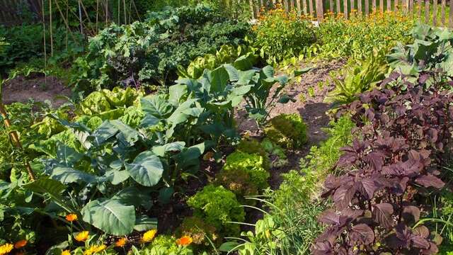 Atelier nature - Des clefs pour un jardinage écologique