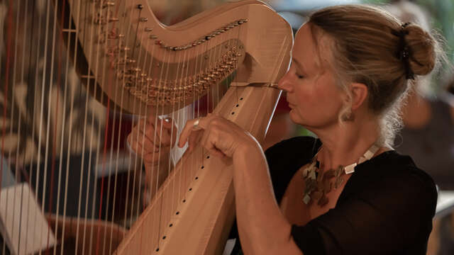 Anne Bassand à la Harpe - Maison de la Forêt