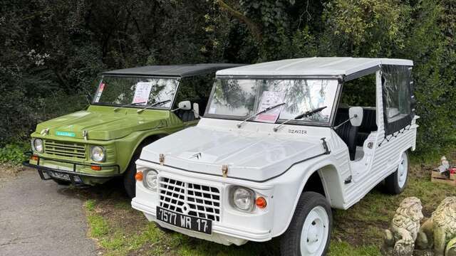 Les Méharis de l'île de Ré