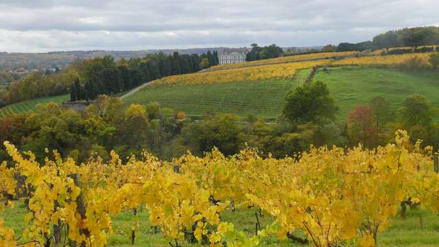 Clos de la Coulée de Serrant