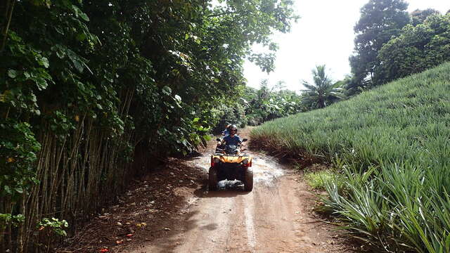 Moorea Activities Center – Quad / Atv Tours