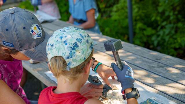 Enquête animée : Le village aux ammonites