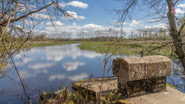 Circuit de l'Espace Naturel Sensible du Grand Birieux à St Marcel