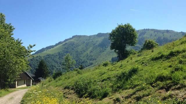 Randonnée "La pointe de Miribel depuis le Darandet"