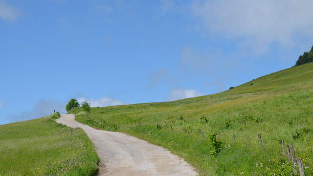 Parcours soft : Le Plateau des Glières