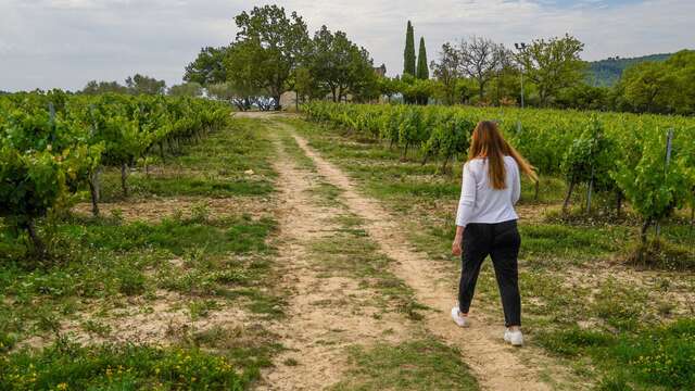 Itinéraire pédestre "Sentier des Vignerons"