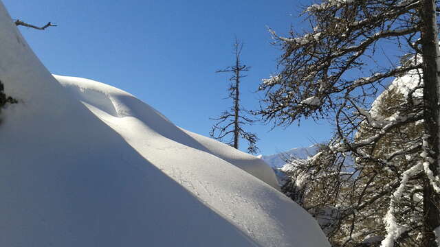 Journée Raquette : reconnexion avec la Nature