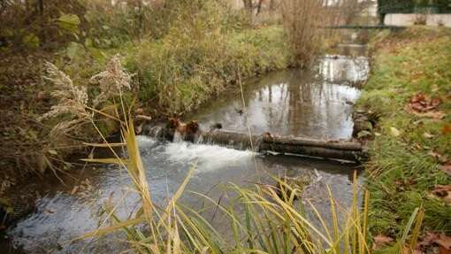 Exposition « Au fil de l’eau de la Bouterne et de la Burge » par l'association Chantemerle d'Hier et d'Aujourd'hui - Journées Européennes du Patrimoine