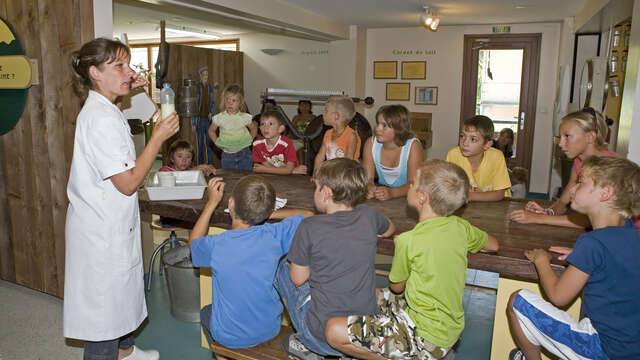 Des fleurs aux fromages