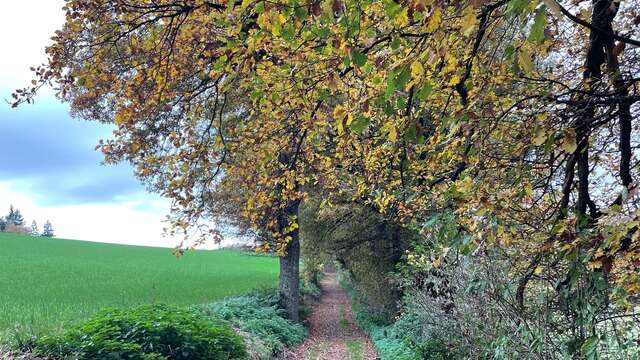 Sentier Les coteaux de Valeille