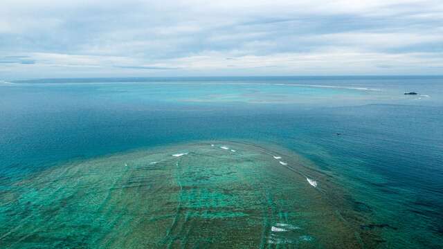 Scuba diving in Ouano bay - La Foa Diving