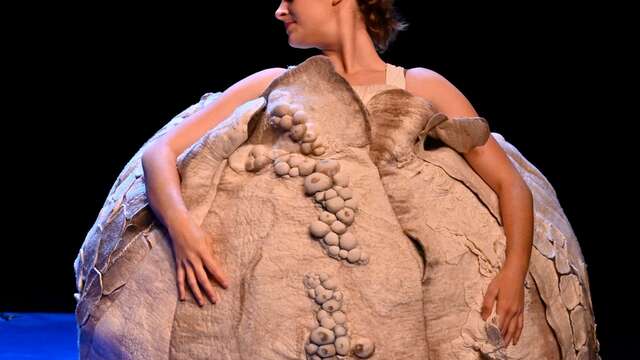 Chiffonnade - michele dhallu / carre blanc cie