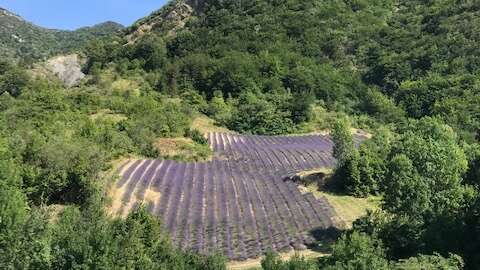 Les Méga Apéros perchés - Youpi Tours