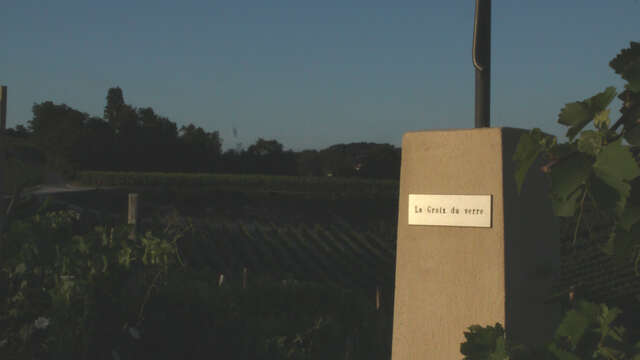 Cave Olivier Dumaine - Domaine de la Croix du Verre