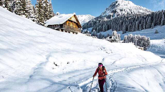 A la rencontre des chamois