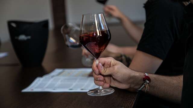 Atelier Découverte "  Initiation à la dégustation : les régions  " - M.CHAPOUTIER