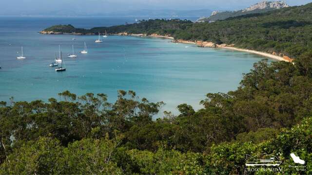 Navette Porquerolles | La Croix du Sud V