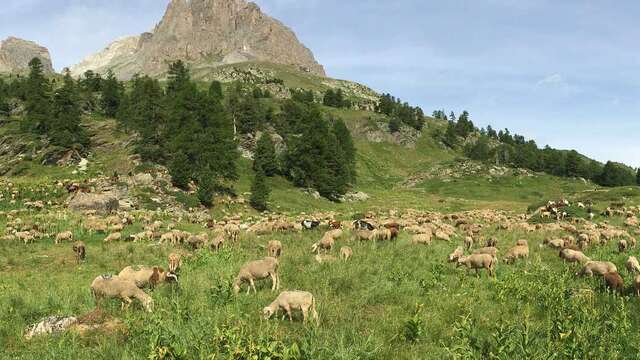 Séjour Découverte de la Montagne à Névache - L'Échaillon