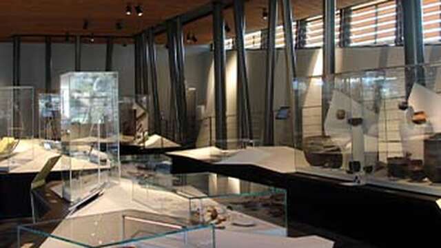 Plonger oui mais comment ?