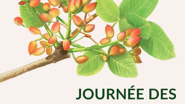 Conférence "Le pistachier, un arbre d'avenir"