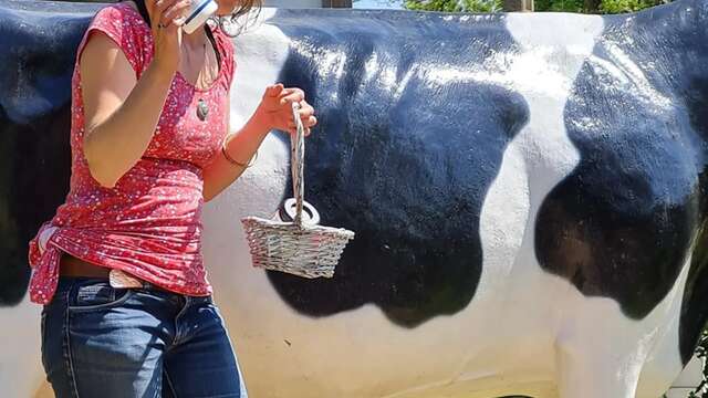Le petit marché du glacier