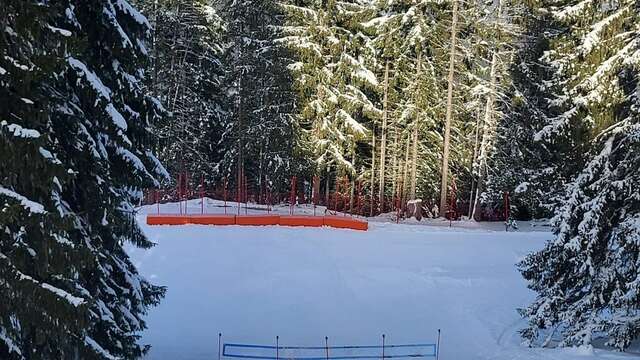 Pistes de luge au Collet