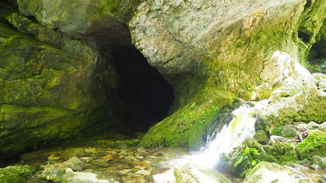 En passant par la Grotte du  Loup