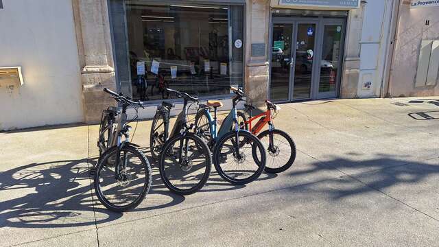 BEE'S LOCATION VELO 1/2 JOURNEE