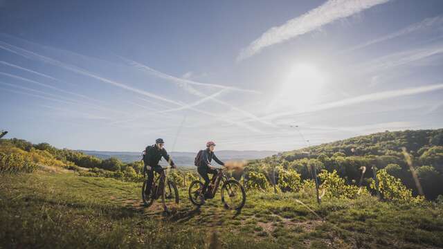VTTAE circuit n°21 (red) Vignoble du Revermont - Tour de Gravelles