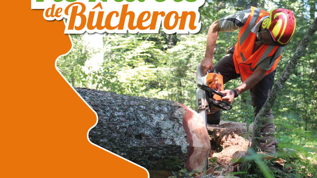 Vis ma vie de Bûcheron