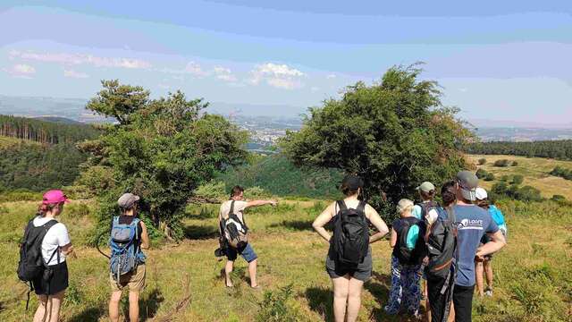 Les rendez-vous nature : Salvaris, un écrin naturel aux portes de Saint-Étienne