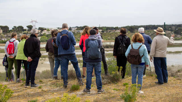 Éco-balade : Découverte des salins de Rassuen