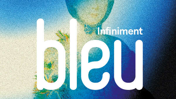 Infiniment bleu. Arts décoratifs, peinture et mode au Château Borély