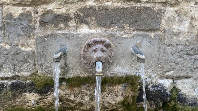 Eau et hirondelles dans un village de Provence