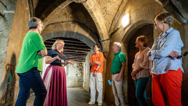 Visite guidée - Chambéry, patrimoine & dégustation de vins