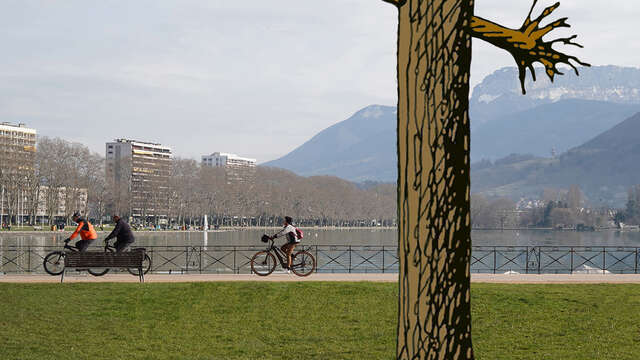 L'arbre pourfendu de Bob Verschueren - Annecy Paysages