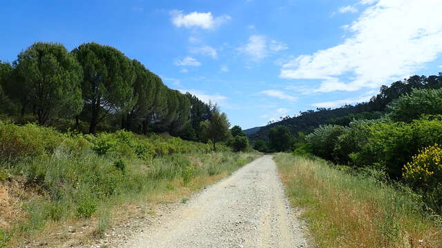 Le Parcours Cyclable du Littoral Varois - V65 / Etape 4 : Fréjus > Montauroux