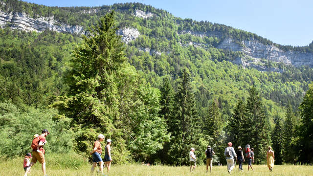 Randonnées accompagnées : niveau intermédiaire à sportif