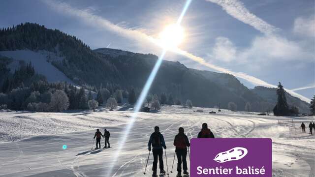 Tour du Pare - Randonnée hivernale